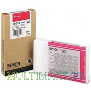 Картридж Epson C13T603B00 картинка 3